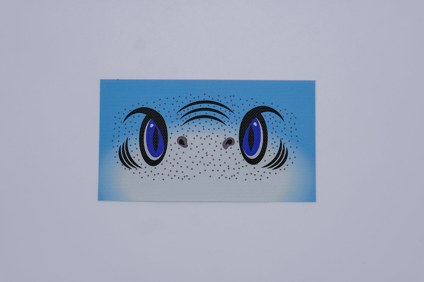 Shifties Goggle Decals