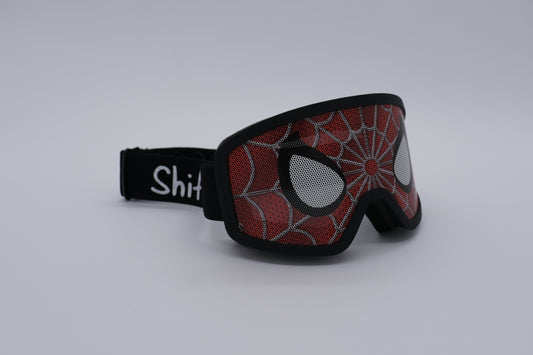 Arachnid Eyes Decal & Goggles