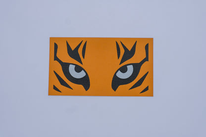 Shifties Goggle Decals